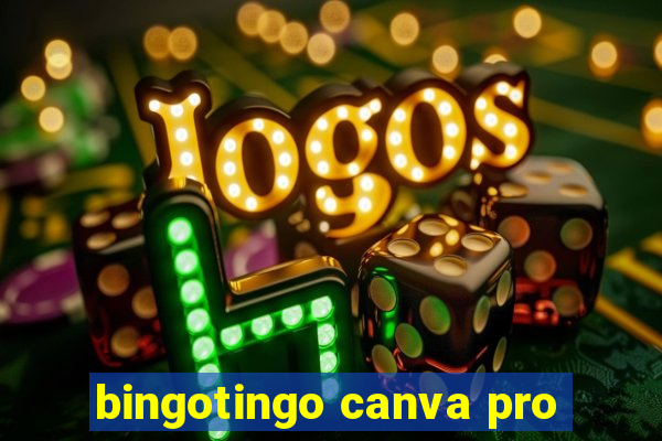 bingotingo canva pro